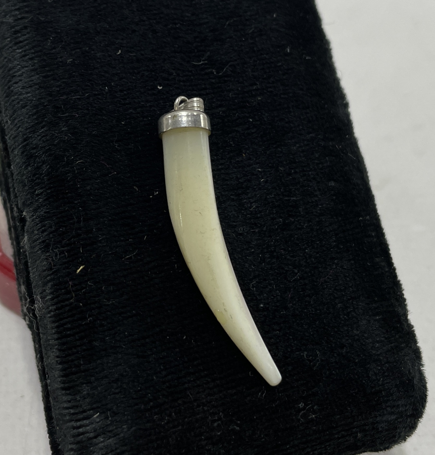 DİŞ FORMUNDA SEDEFTEN MAMUL GÜMÜŞ BAŞLIKLI KOLYE UCU