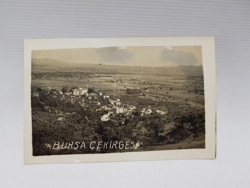 BURSA ÇEKİRGESİ FOTOĞRAF