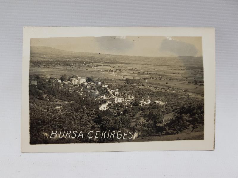 BURSA ÇEKİRGESİ FOTOĞRAF