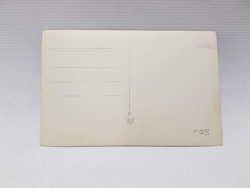 BURSA ÇEKİRGESİ FOTOĞRAF