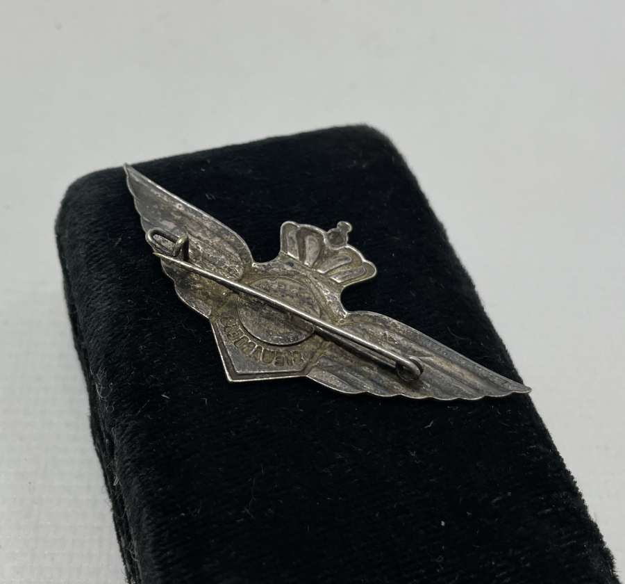 HOLLANDA HAVA KUVVETLERİ GÜMÜŞ ASKERİ BRÖVE