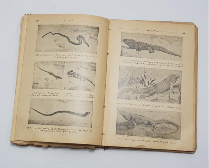 OSMANLICA KİTAP: ÇOCUK ANSİKLOPEDİSİ