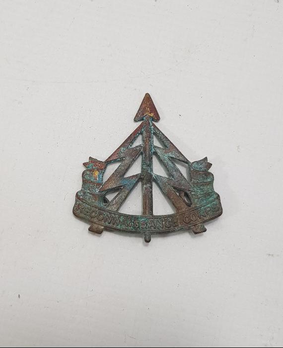 1. DÜNYA SAVAŞI İNGİLİZ ASKERİ ROZET 