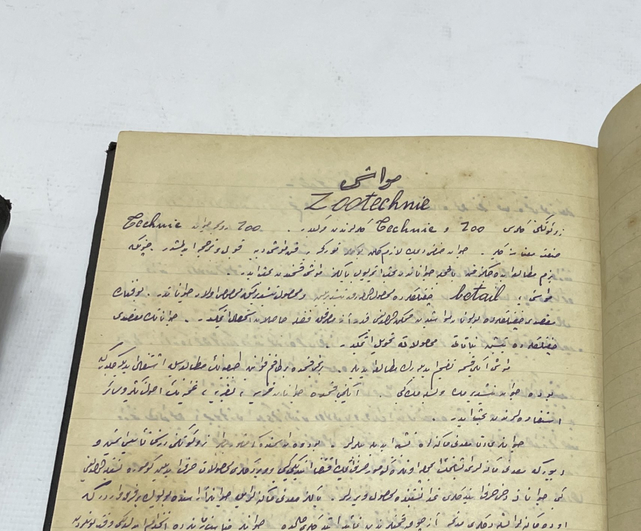 OSMANLI DÖNEMİ ÇOK NADİR BAYTARLIK ÜZERİNE YAZILMIŞ EL YAZMA 5 ADET ESER