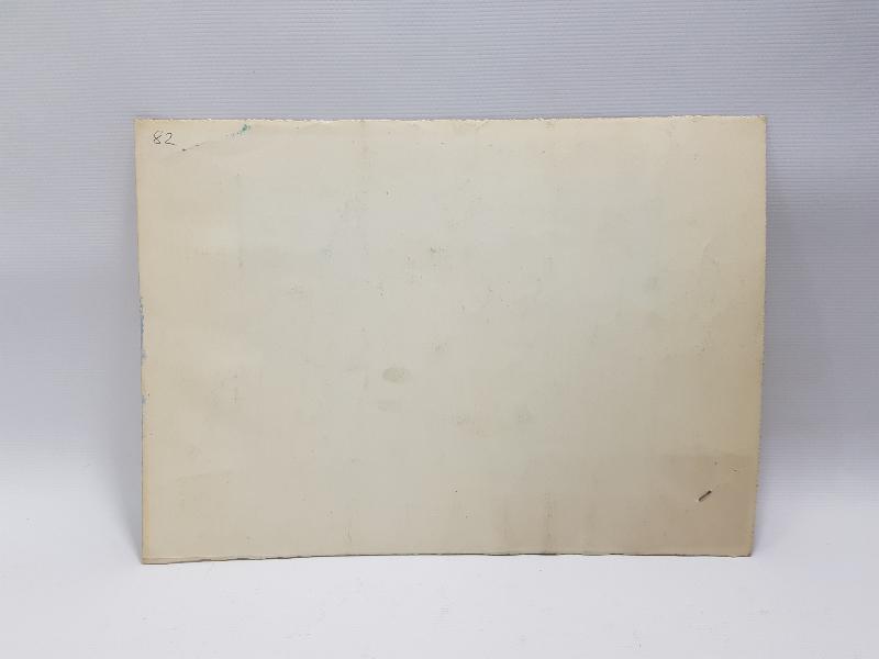 1919 ATATÜRK YURDU KURTARMAK İÇİN DAVET ETTİĞİ DELEGELERLE 