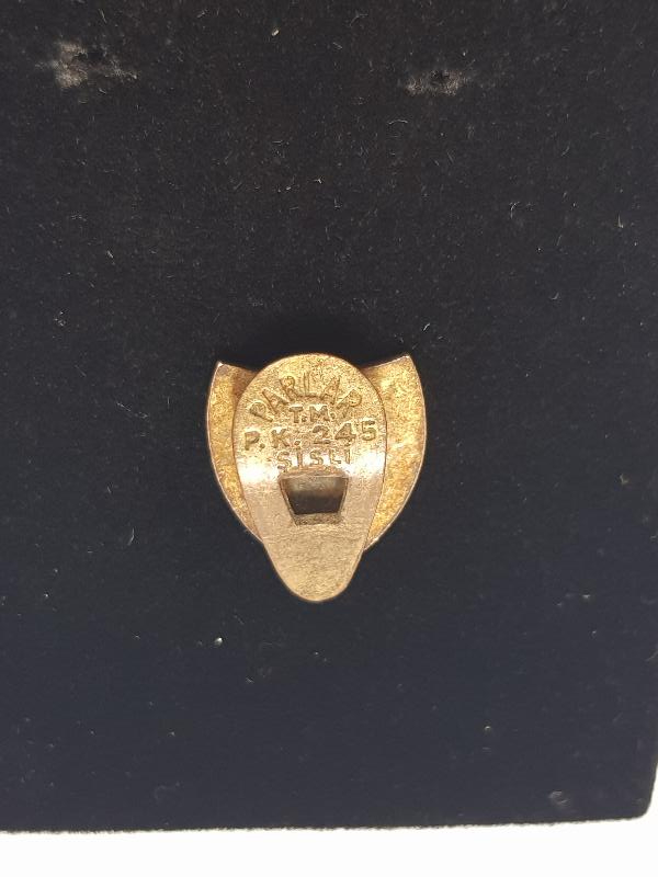 MİNELİ CUMHURBAŞKANLIĞI ROZETİ 