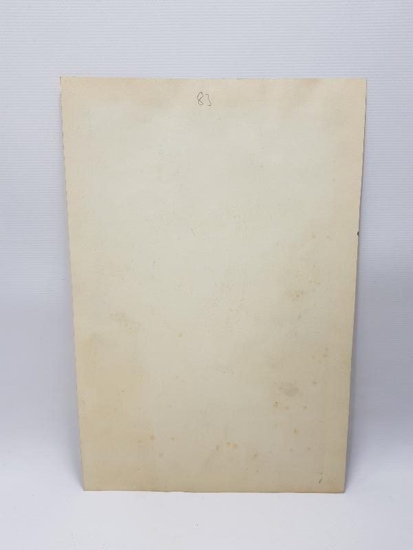 İSTİKLAL MADALYALI GAZİ MUSTAFA KEMAL ATATÜRK RESMİ 