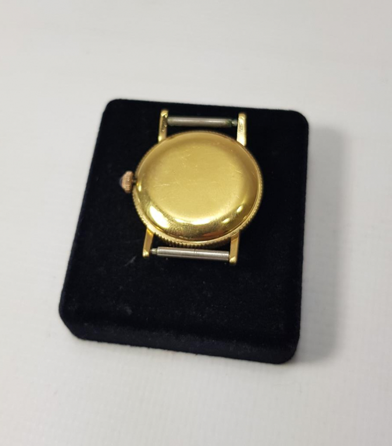 ARTINAL SWISS MADE MARKA LIBERTY DOLLAR GÖRSELLİ BAYAN KOL SAATİ 