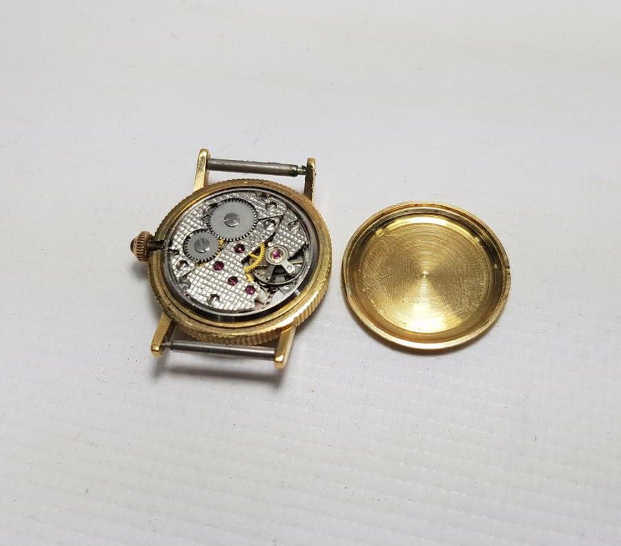 ARTINAL SWISS MADE MARKA LIBERTY DOLLAR GÖRSELLİ BAYAN KOL SAATİ 