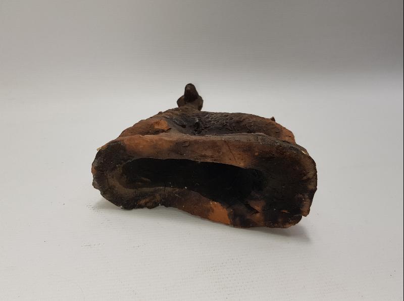 ANTİKA PİŞMİŞ TOPRAK DAĞ KEÇİSİ