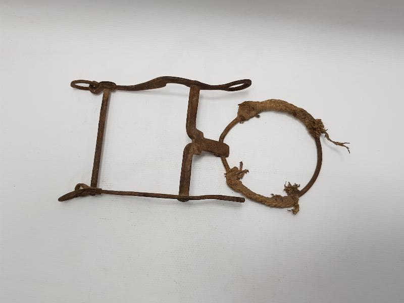 OSMANLI DÖNEMİ SÜVARİ AT GEMİ 