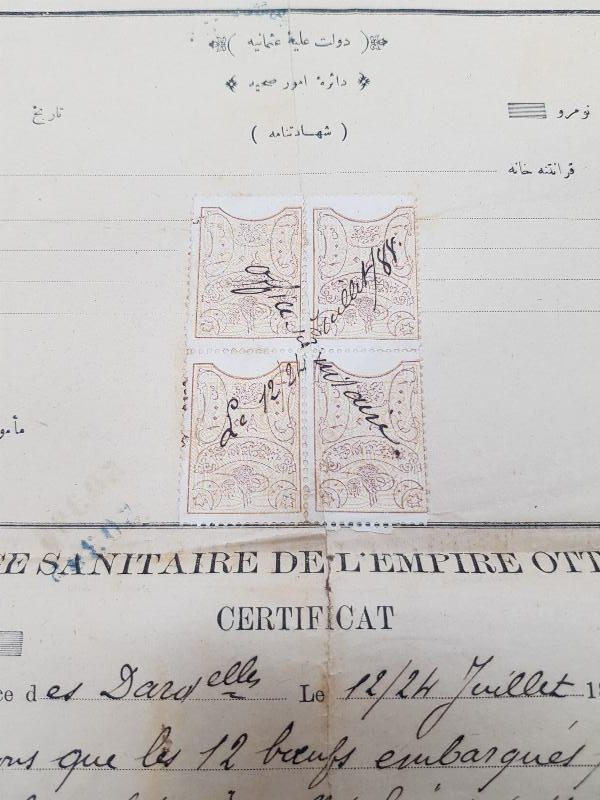 OSMANLICA VE FRANSIZCA ÇOK NADİR HUDUT VE SAHİLLER SAĞLIK GENEL MÜDÜRLÜĞÜ ŞEHADETNAMESİ