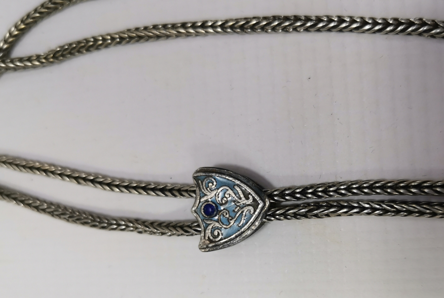 1900 BAŞLARI MİNELİ LE ROY KÖSTEĞİ