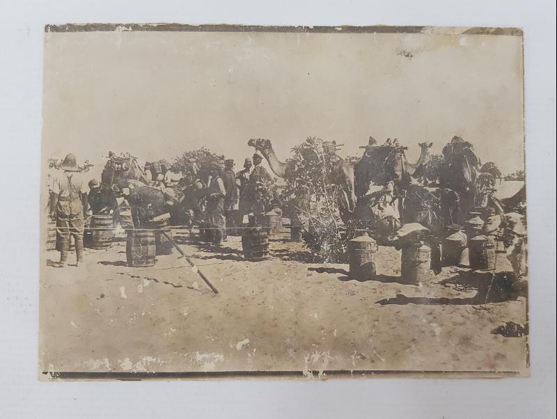 1. DÜNYA SAVAŞI SURİYE CEPHESİ TÜRK YARALILARIN DEVELERLE SAHRA HASTANESİNE TAŞINMALARI 