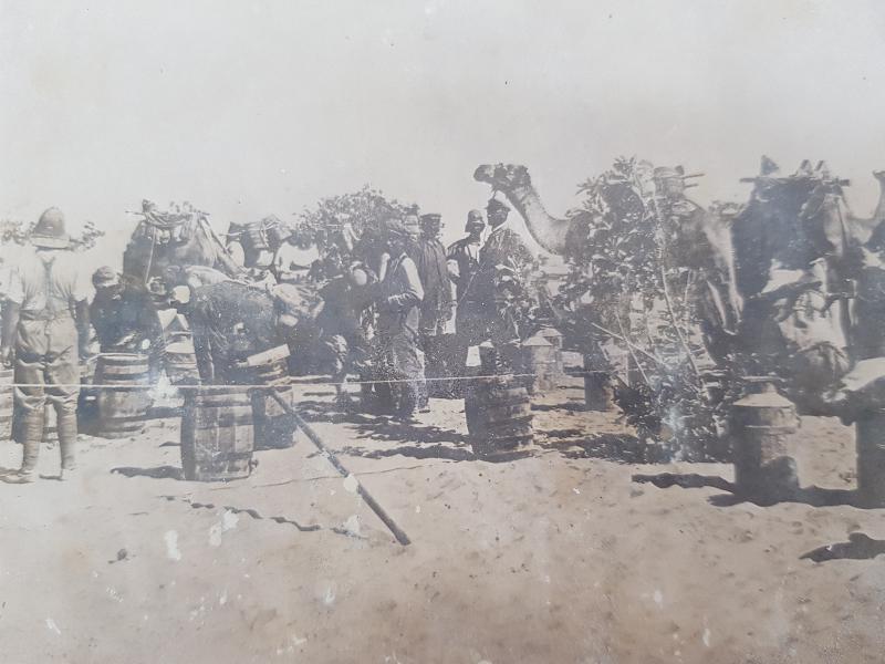 1. DÜNYA SAVAŞI SURİYE CEPHESİ TÜRK YARALILARIN DEVELERLE SAHRA HASTANESİNE TAŞINMALARI 