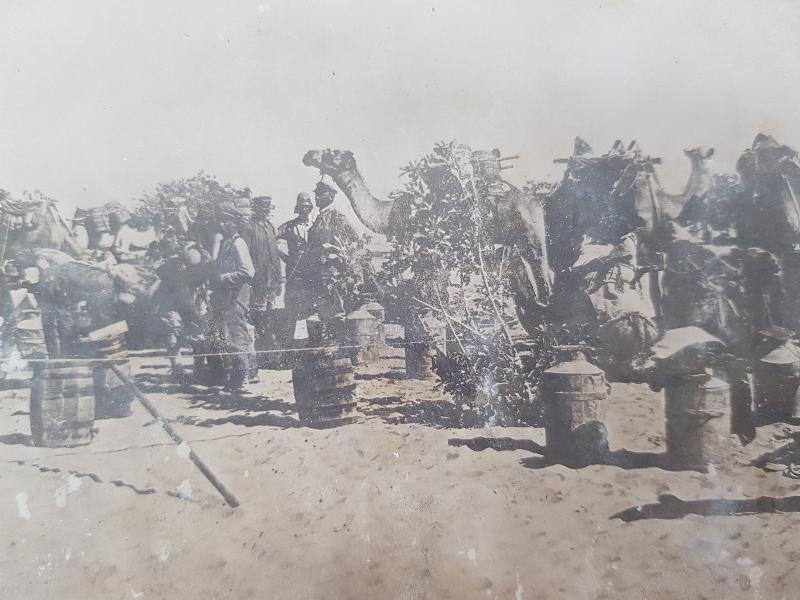 1. DÜNYA SAVAŞI SURİYE CEPHESİ TÜRK YARALILARIN DEVELERLE SAHRA HASTANESİNE TAŞINMALARI 