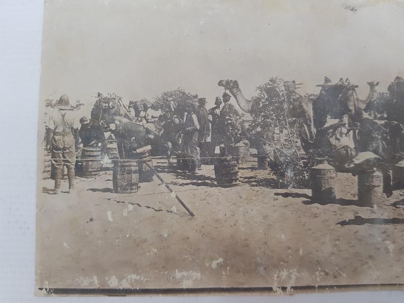 1. DÜNYA SAVAŞI SURİYE CEPHESİ TÜRK YARALILARIN DEVELERLE SAHRA HASTANESİNE TAŞINMALARI 