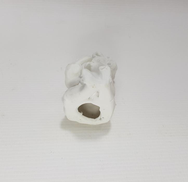 1900's BİSKÜVİT BİBLO