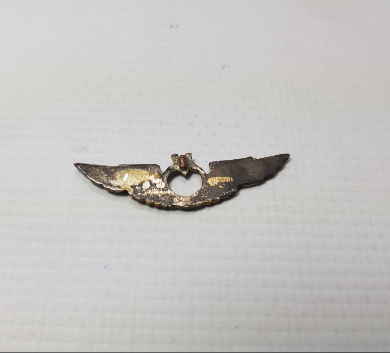 GÜMÜŞ HAVACI SUBAY BRÖVESİ