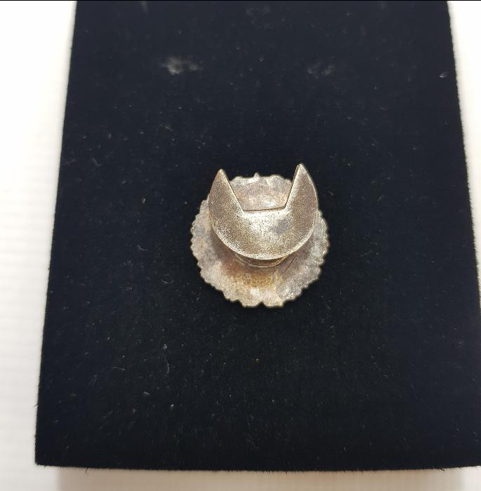 OSMANLICA YAZILI TÜRK TAYYARE CEMİYETİ ROZETİ 