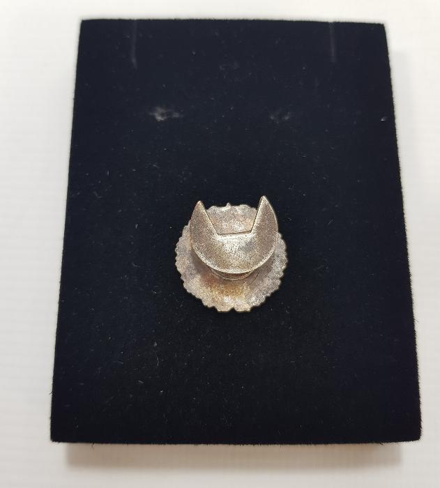 OSMANLICA YAZILI TÜRK TAYYARE CEMİYETİ ROZETİ 