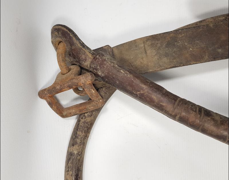 ÇANAKKALE SAVAŞI: 1915 TARİHLİ AT KOŞUM TAKIMI