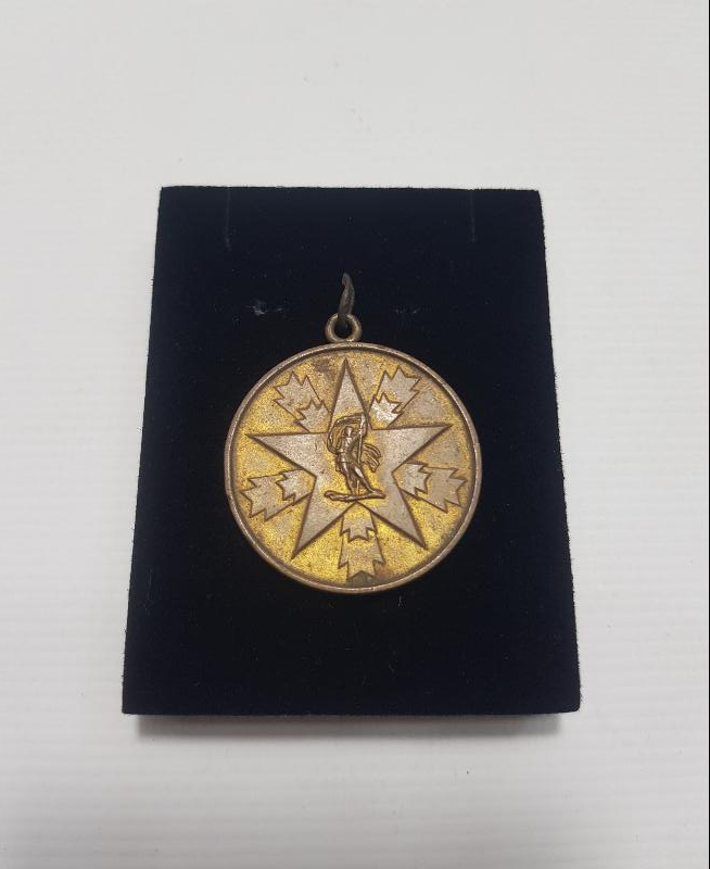 HIRVATİSTAN LİYAKAT MADALYASI 