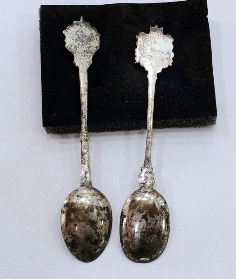 ANİTKA MİNELİ GÜMÜŞ KAŞIK TAKIMI