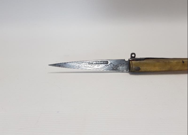 CUMHURİYET İLK DÖNEM ÇOK NADİR CAN KARDAŞI ÇAKI