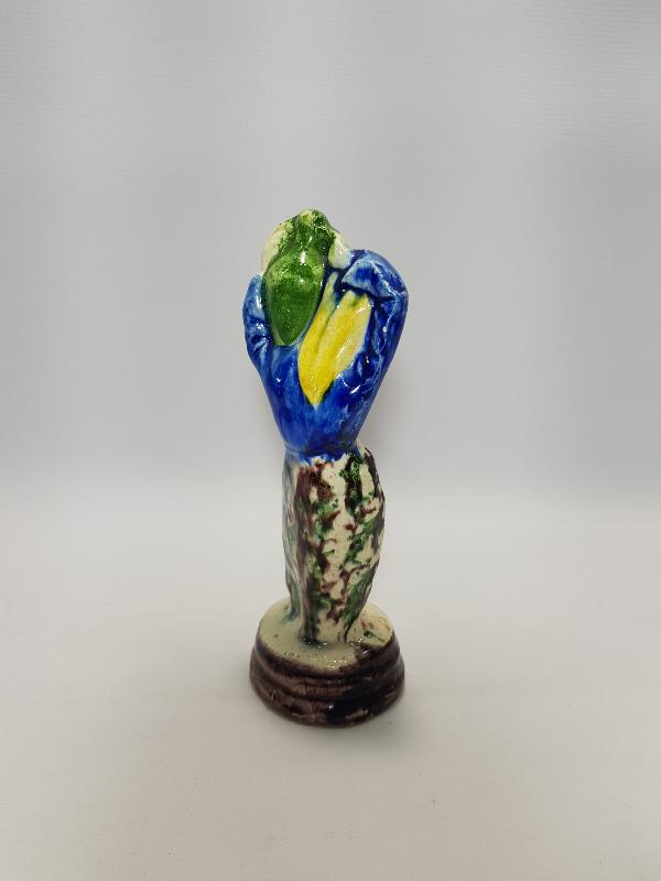 KÜTAHYA SU TAŞIYAN KADIN BİBLOSU