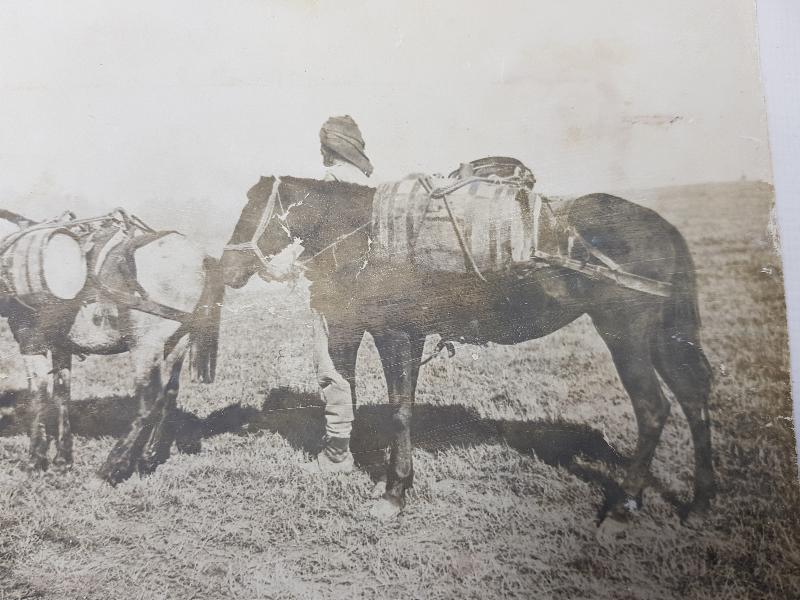 1. DÜNYA SAVAŞI GALİÇYA CEPHESİ TÜRK ASKERLERİ