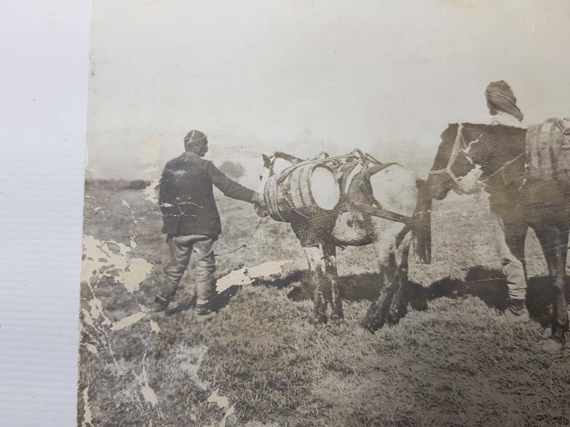 1. DÜNYA SAVAŞI GALİÇYA CEPHESİ TÜRK ASKERLERİ