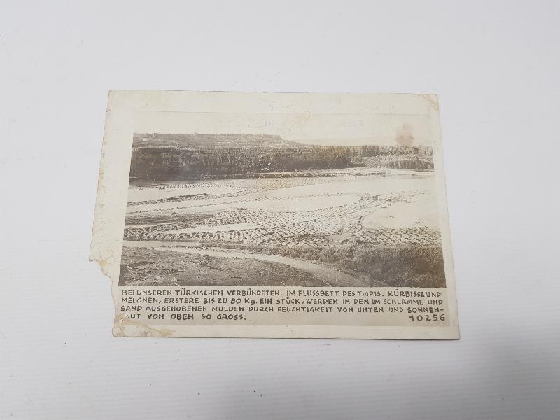 1. DÜNYA SAVAŞI TÜRK MÜTTEFİKLERİMİZLE DİCLE NEHİR YATAĞINDA