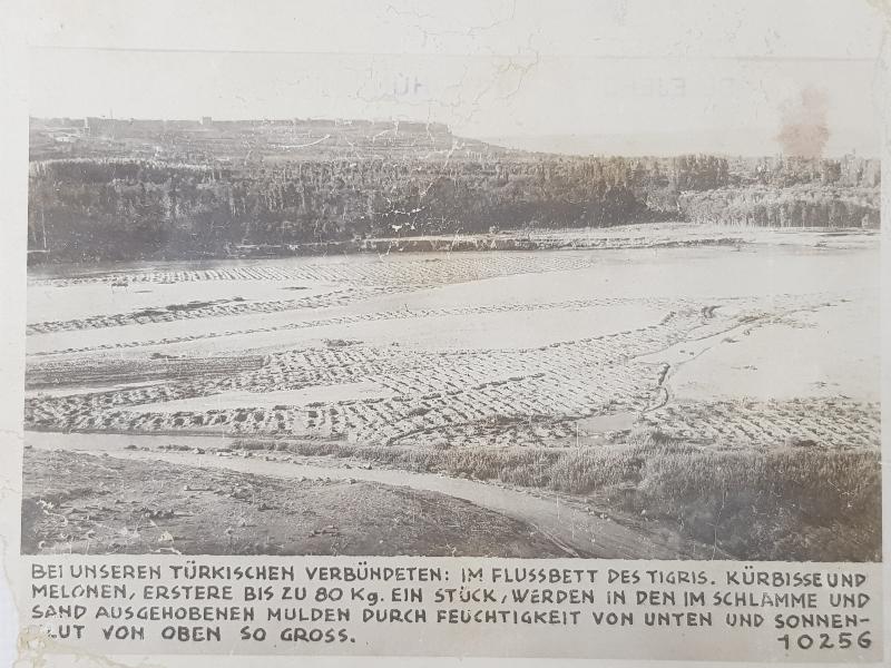 1. DÜNYA SAVAŞI TÜRK MÜTTEFİKLERİMİZLE DİCLE NEHİR YATAĞINDA