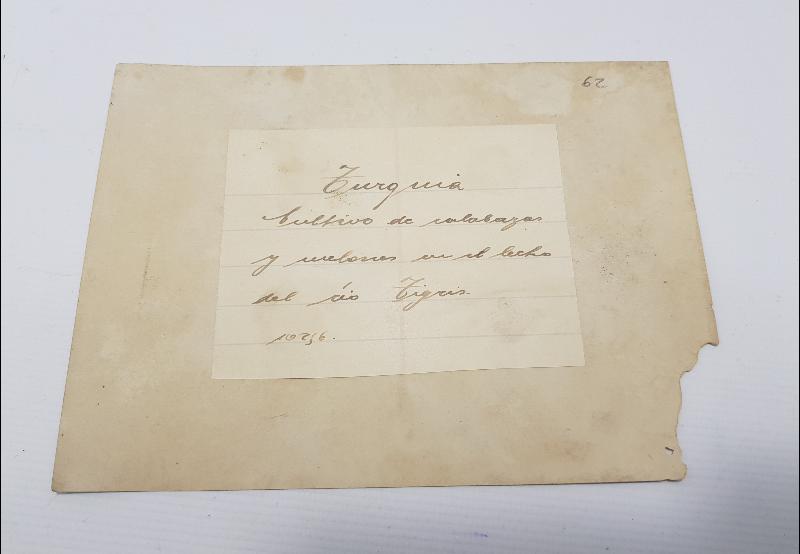 1. DÜNYA SAVAŞI TÜRK MÜTTEFİKLERİMİZLE DİCLE NEHİR YATAĞINDA