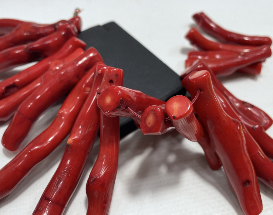 BÜYÜK BOY MERCAN PARÇALARI