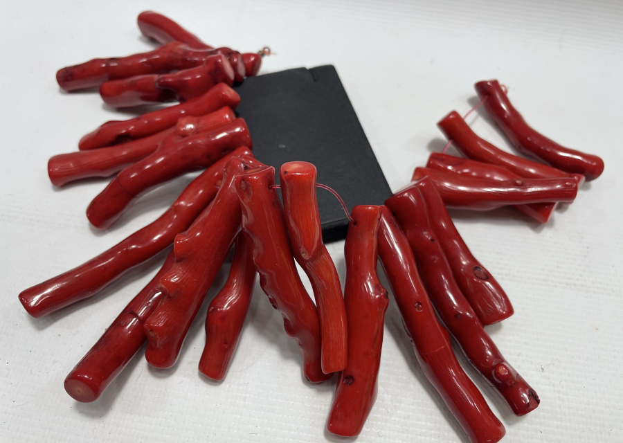 BÜYÜK BOY MERCAN PARÇALARI