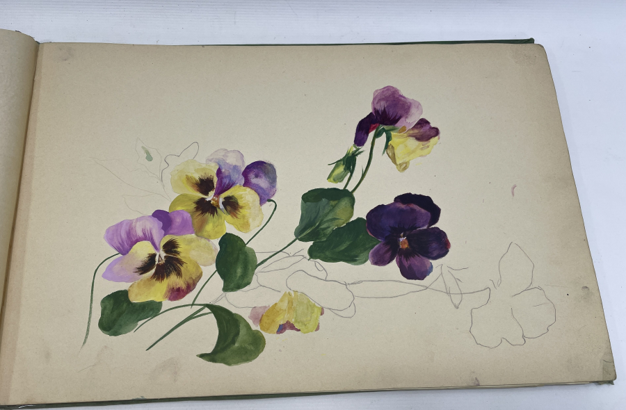 OSMANLI DÖNEMİ DEV BOYDA ÜZERİ OSMANLI DEVLET ARMALI RESİM DEFTERİ