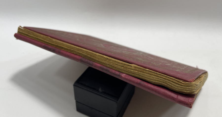 OSMANLI DÖNEMİ KABE VE MESCİDİ NEBEVİ GÖRSELLİ DELAİL-ÜL HAYRAT