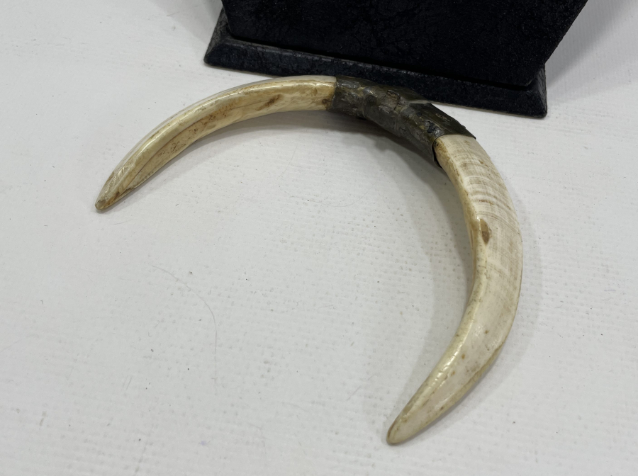 OSMANLI DÖNEMİ ŞAMAN İŞİ AT SÜSÜ