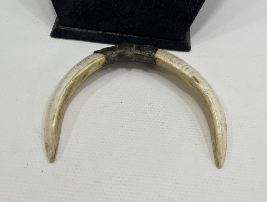 OSMANLI DÖNEMİ ŞAMAN İŞİ AT SÜSÜ