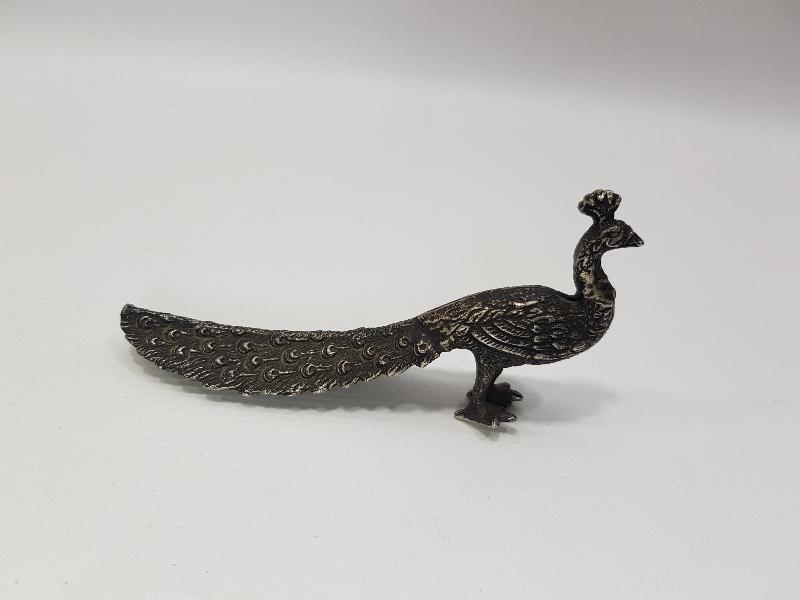 GÜMÜŞ TAVUSKUŞU BİBLOSU