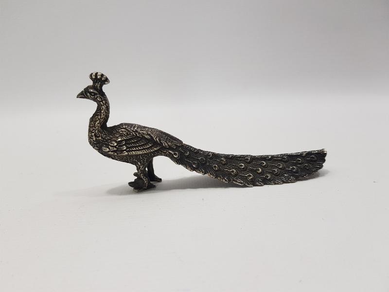 GÜMÜŞ TAVUSKUŞU BİBLOSU