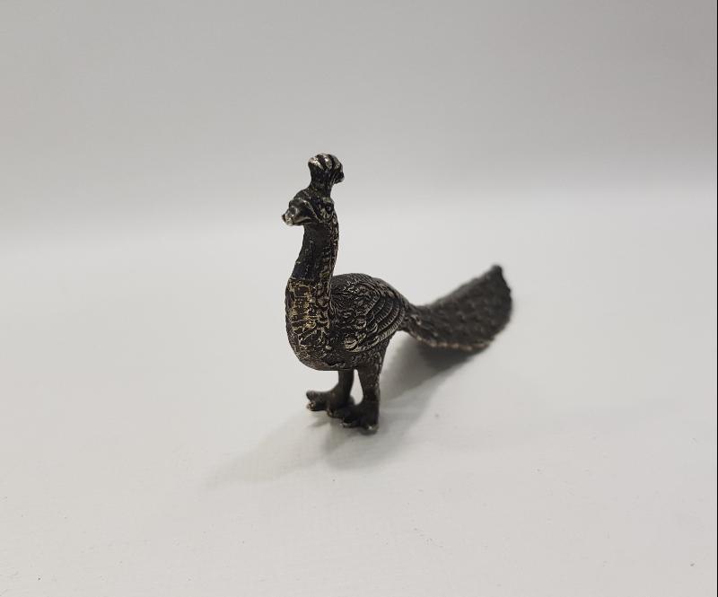 GÜMÜŞ TAVUSKUŞU BİBLOSU