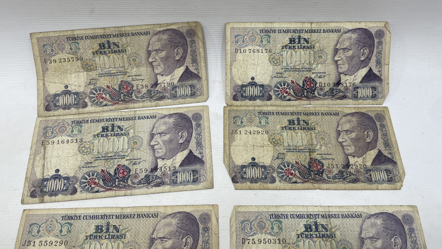 ANTİKA KAĞIT PARA LOTU