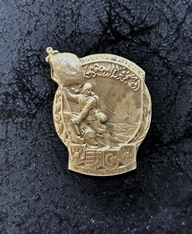 GALİÇYA MUHAREBESİ ROZETİ