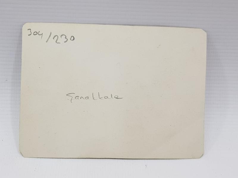 ÇANAKKALE SAVAŞI TÜRK ASKERLER KATIRA AĞIR SİLAH YÜKLERKEN