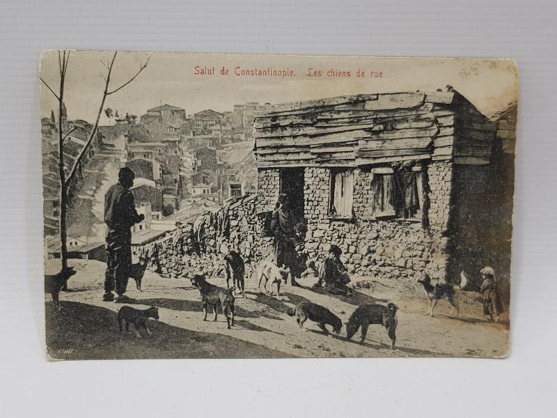 İSTANBUL'DA SOKAK KÖPEKLERİ KONULU NADİR OSMANLI KARTPOSTAL
