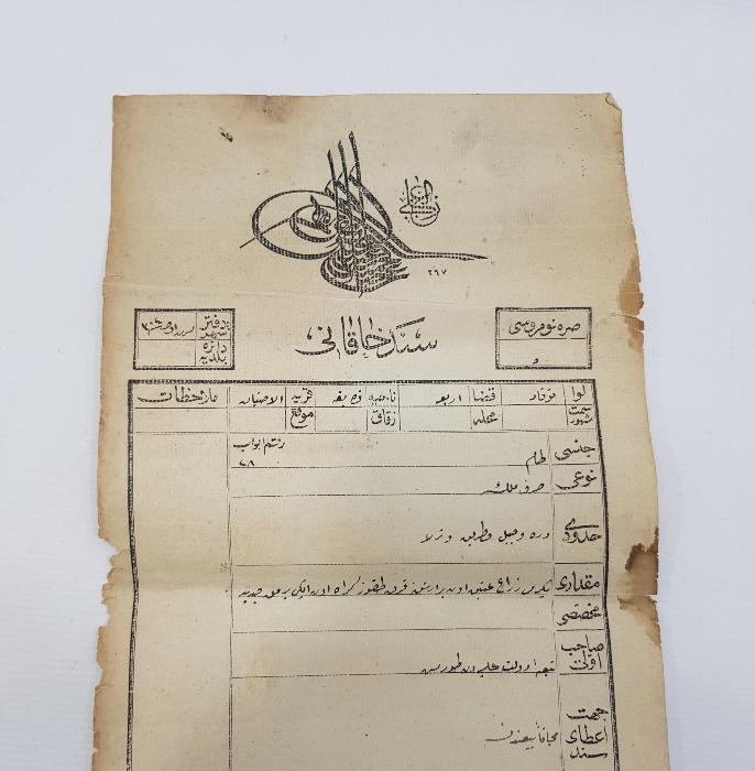 VETERİNER TARİHİ: HAYVAN DAMI TAPUSU