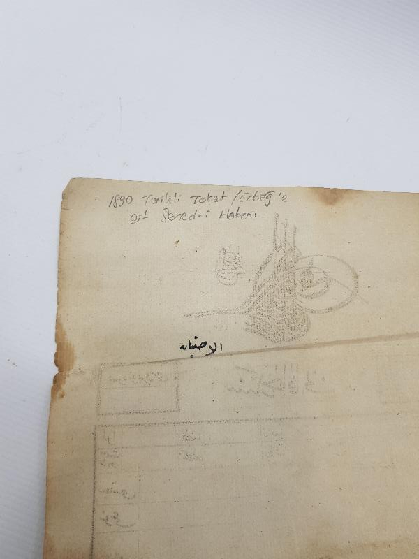 VETERİNER TARİHİ: HAYVAN DAMI TAPUSU